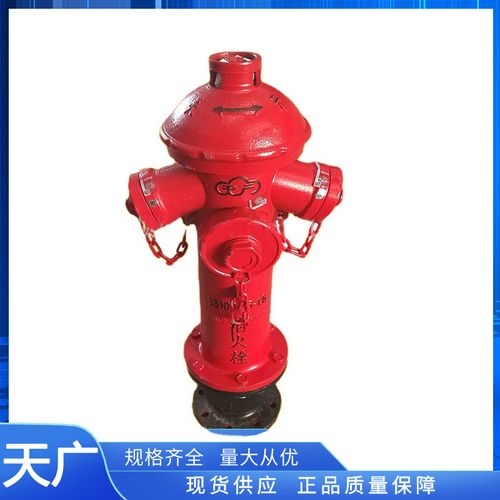 天廣消防室外地上式消火栓ss100/65消防取水口消火栓室外消防器材